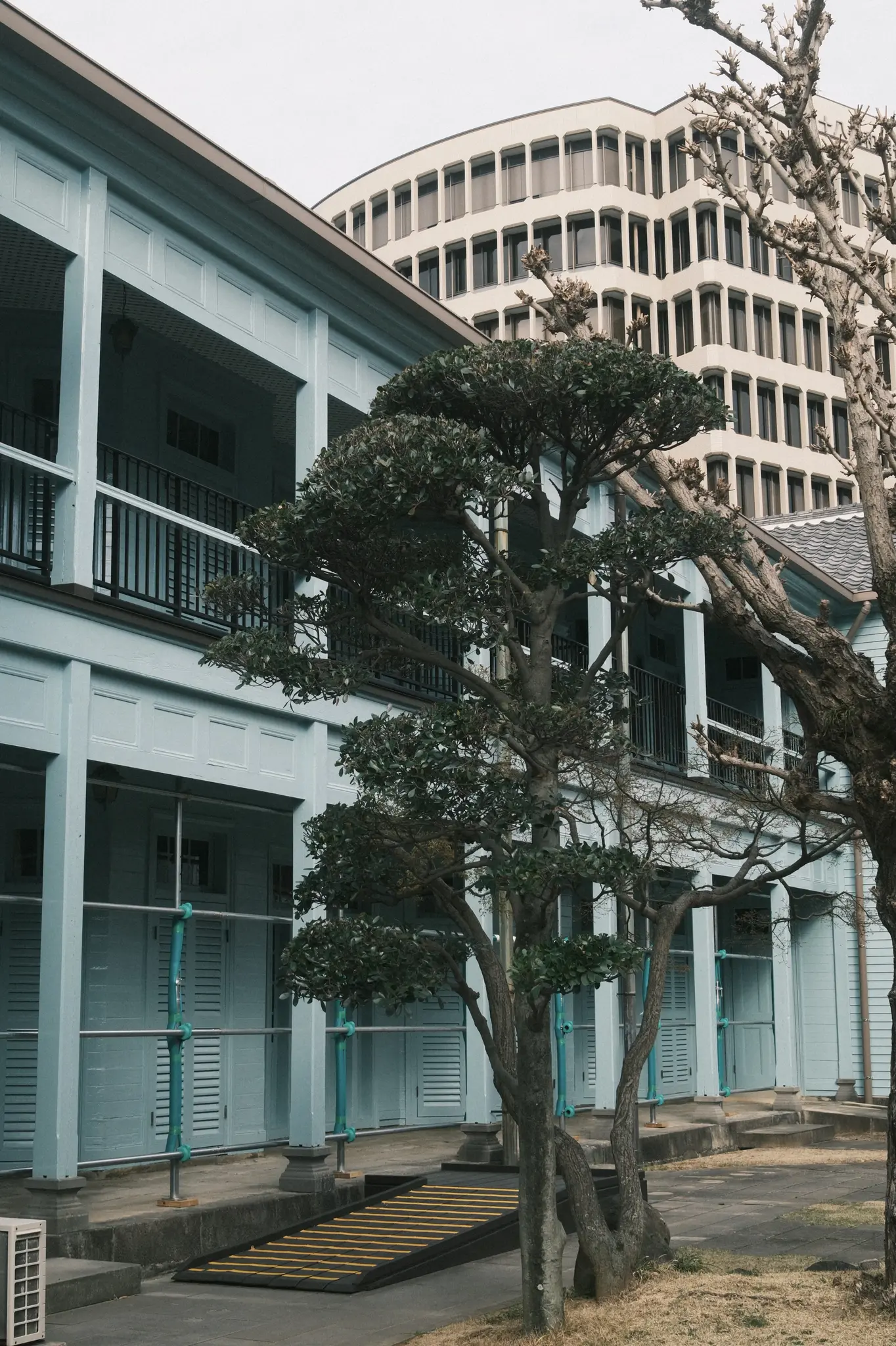 FUJIFILM X100VI, 2026-03-15