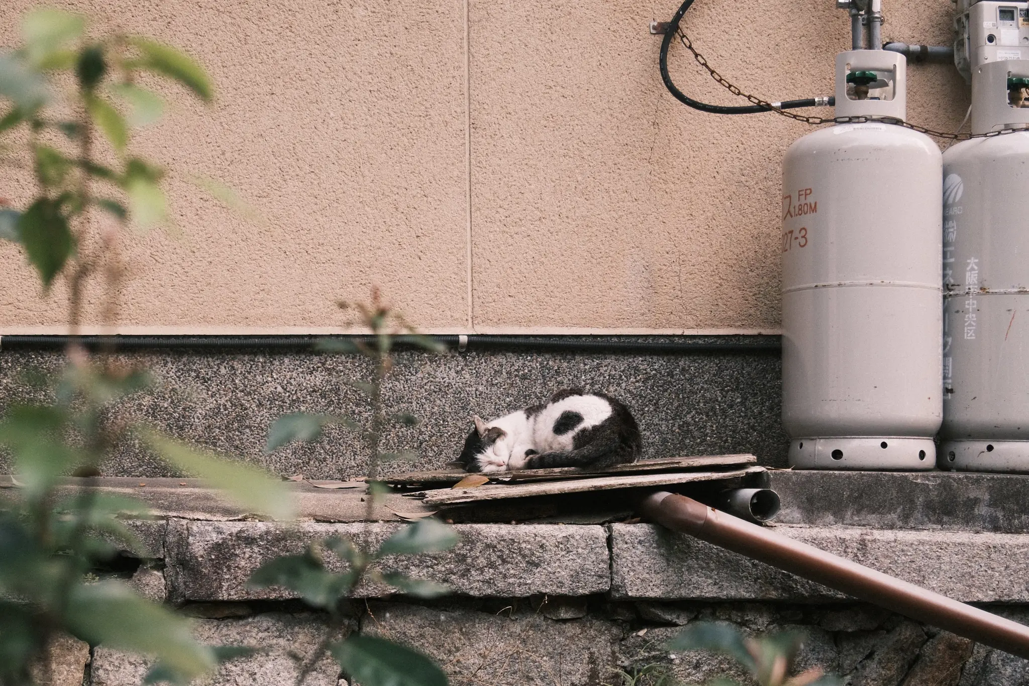 FUJIFILM X100VI, 2026-03-28