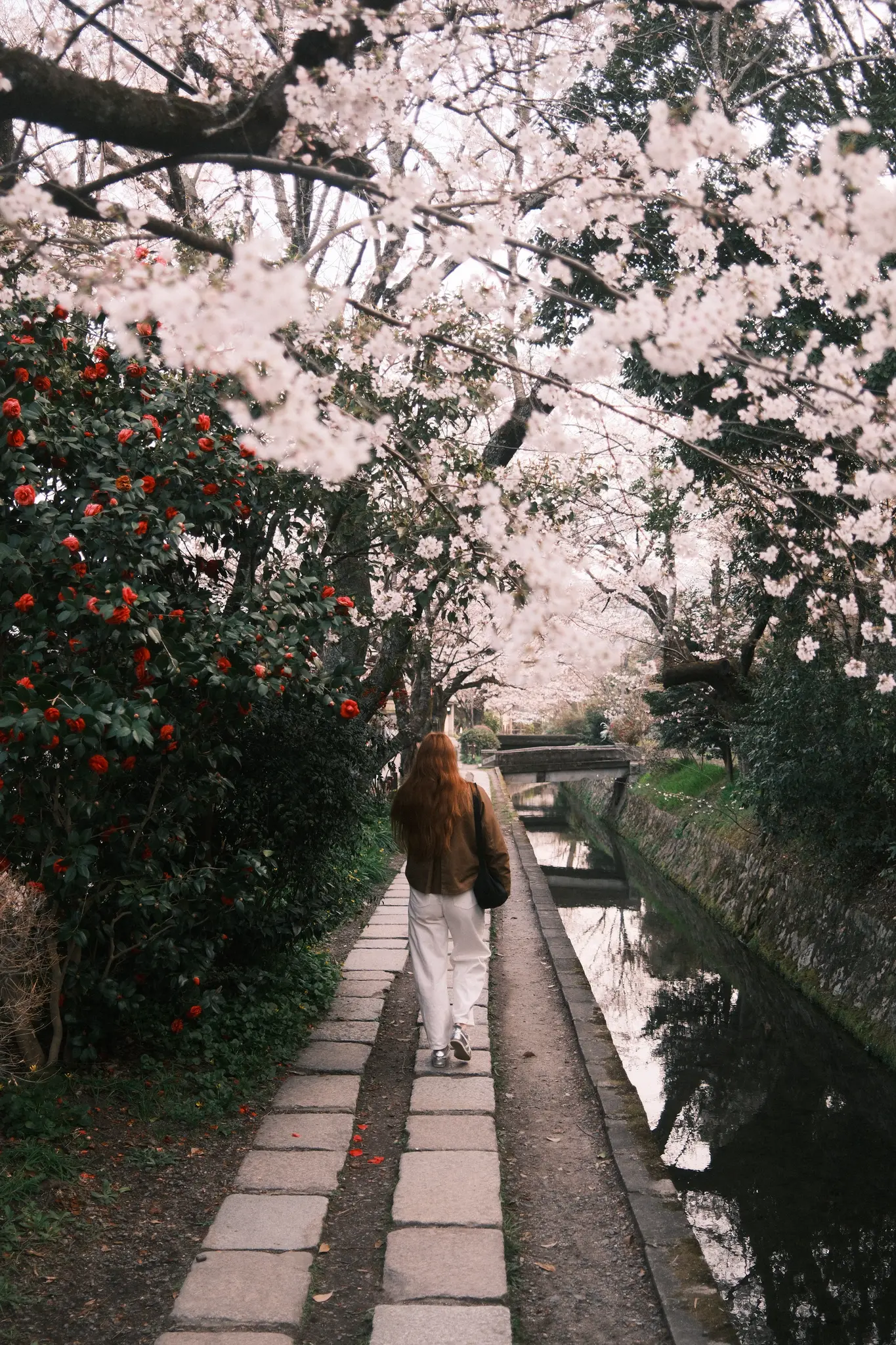 FUJIFILM X100VI, 2026-03-28