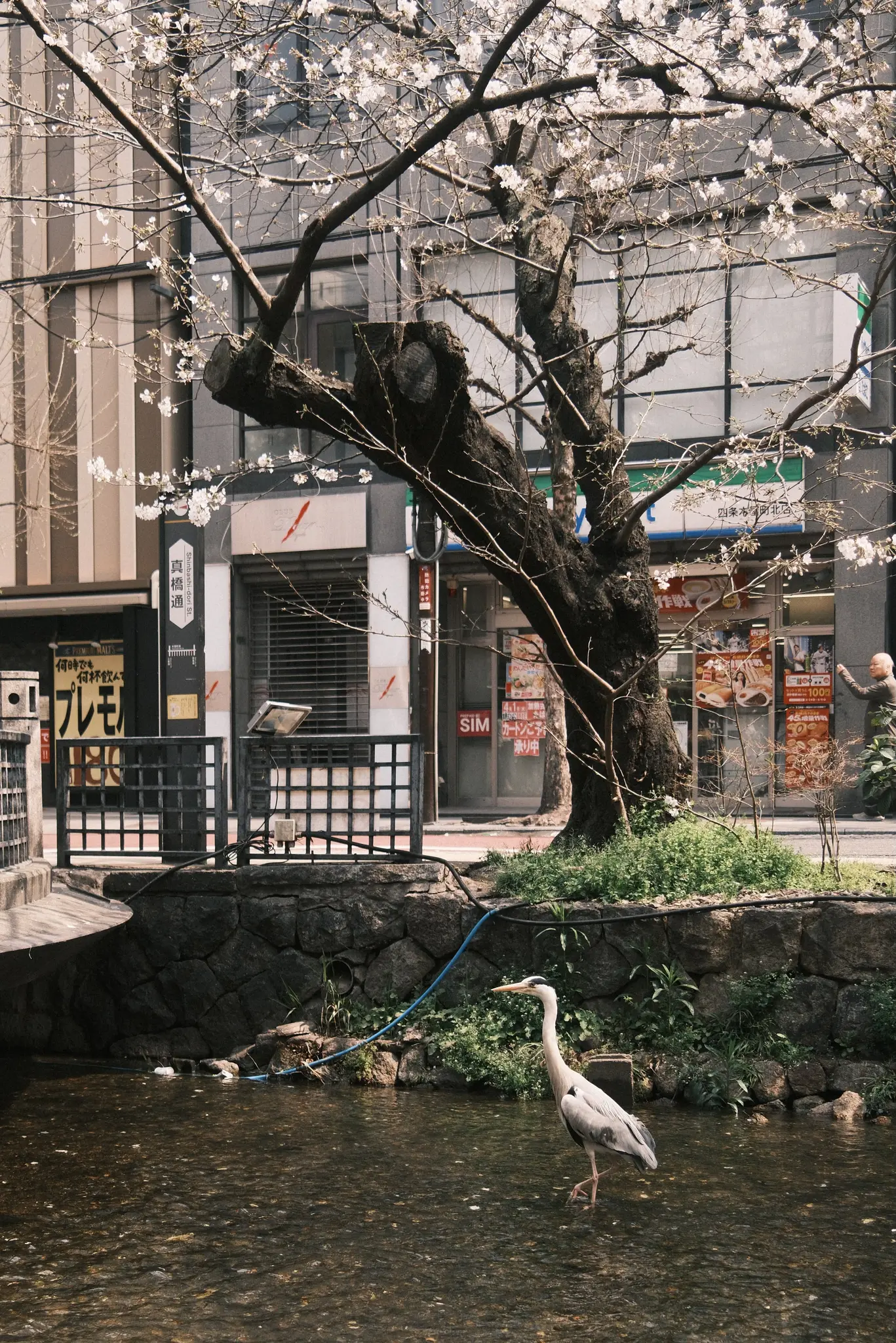 FUJIFILM X100VI, 2026-03-29