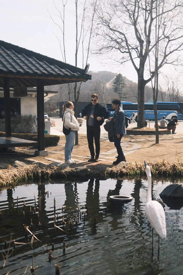 2026-03-08 · 대한민국