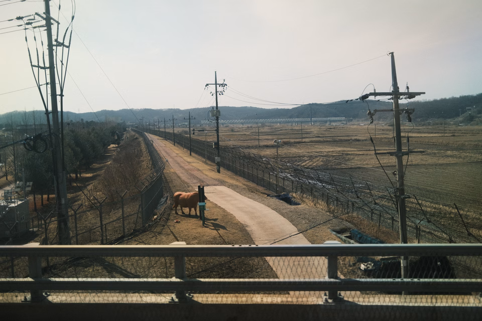 2026-03-08 · 대한민국