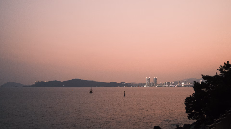 2026-03-11 · 대한민국