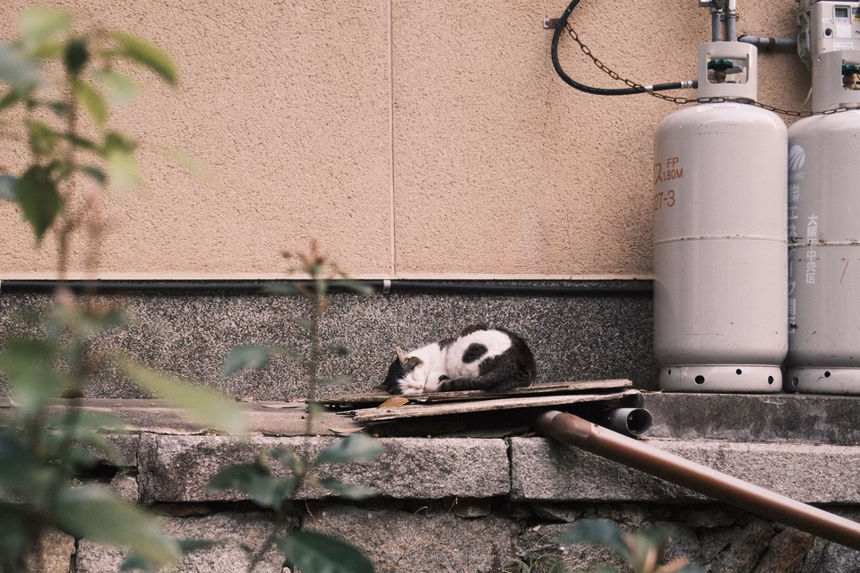 2026-03-28 · 日本